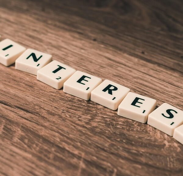 website growth for success