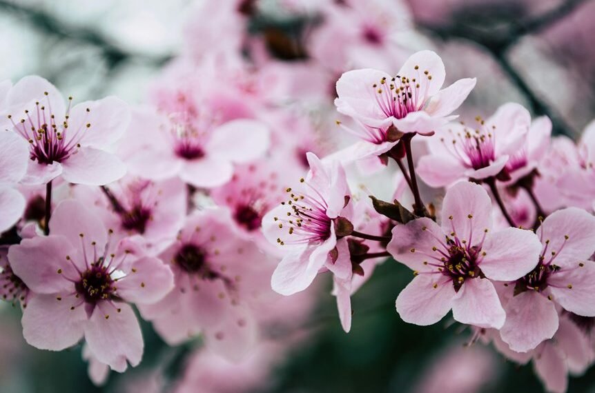 website growth through seo